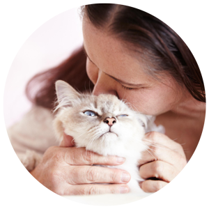 cura gatto
