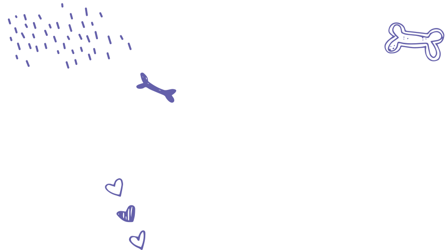 riga
