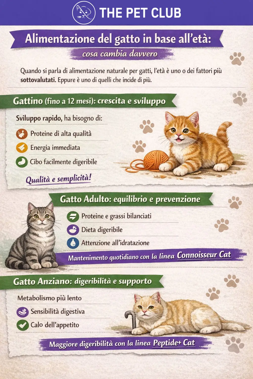alimentazione gatto adulto anziano