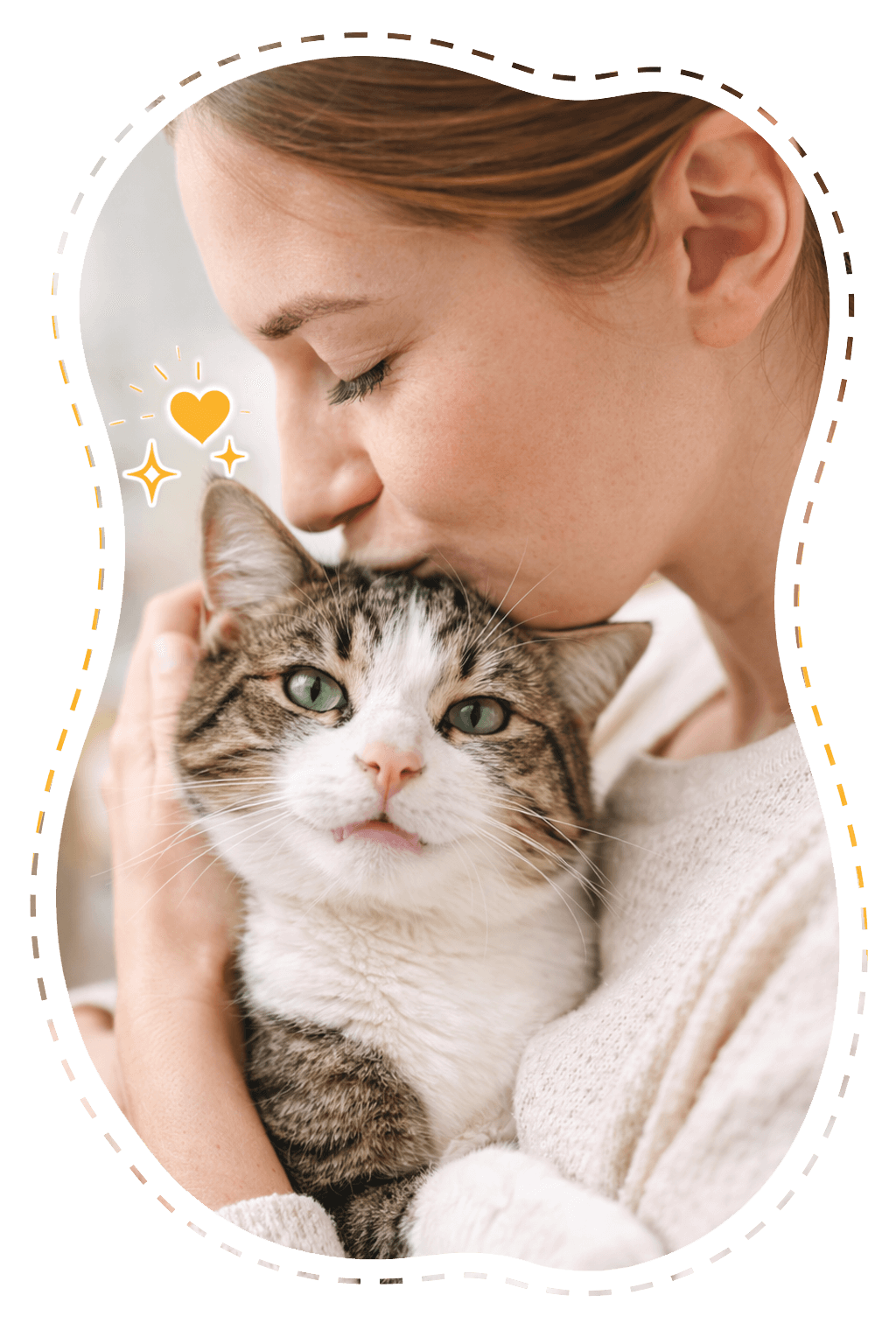 alimentazione gatto