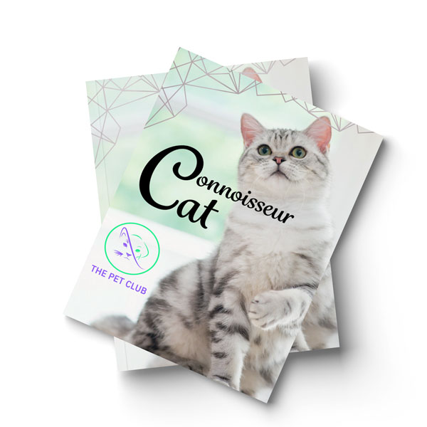 catalogo connoisseur cat