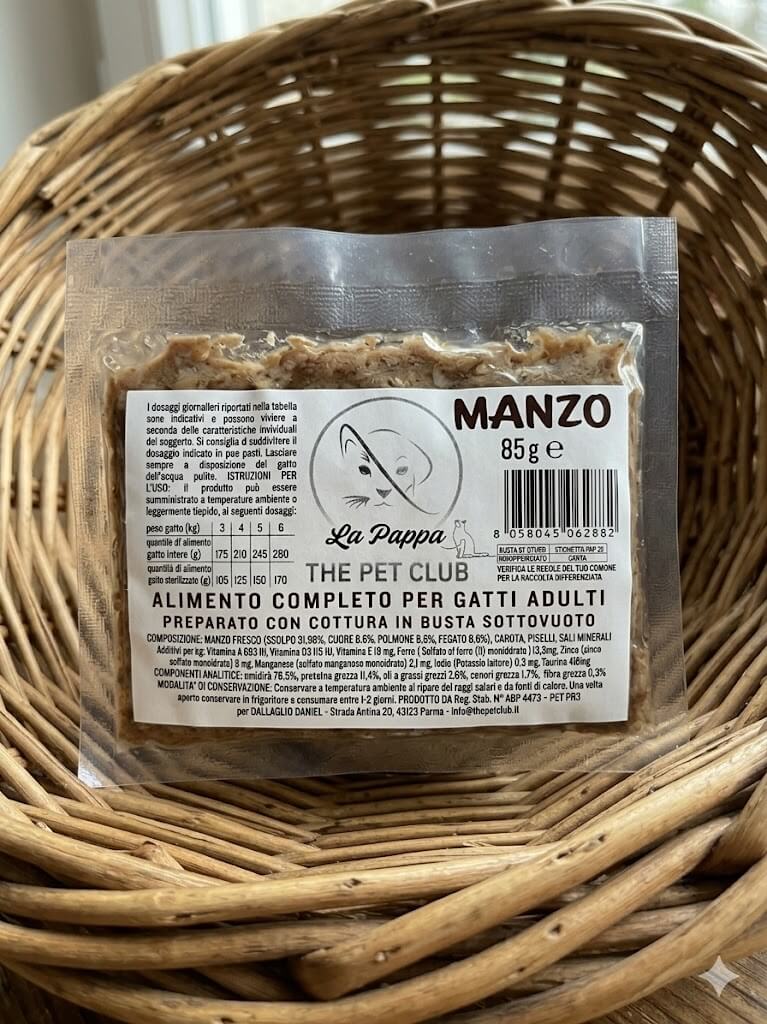 gatto manzo