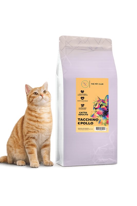 gatto pollo tacchino