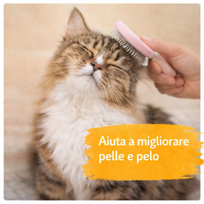 pelle pelo