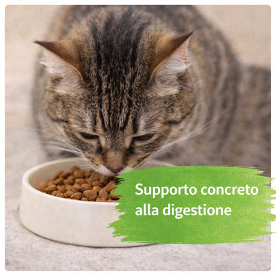 peptide digestione