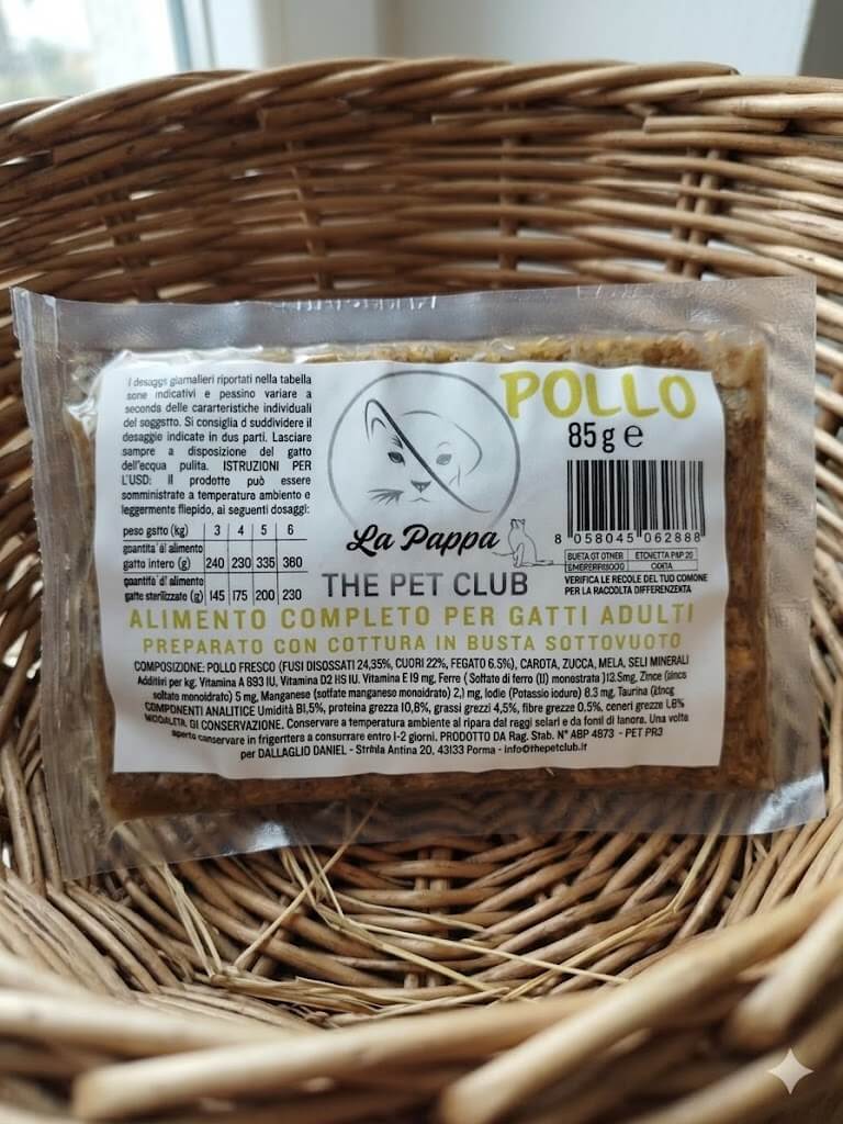 pollo gatto