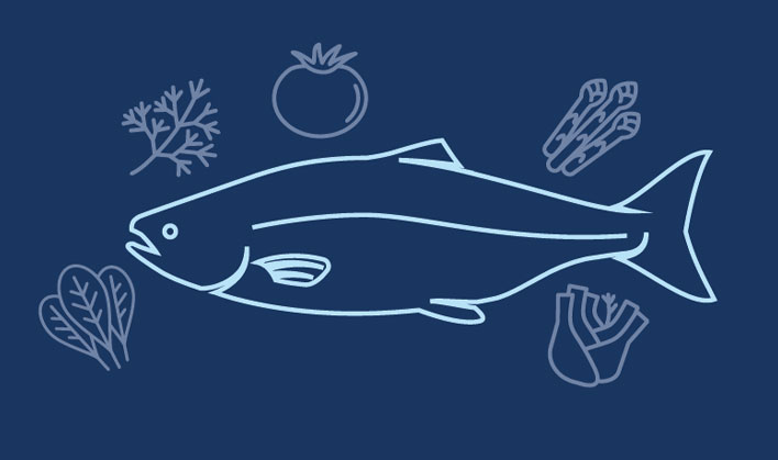 salmone