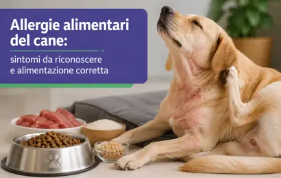 allergie alimentari del cane allergie alimentari del cane