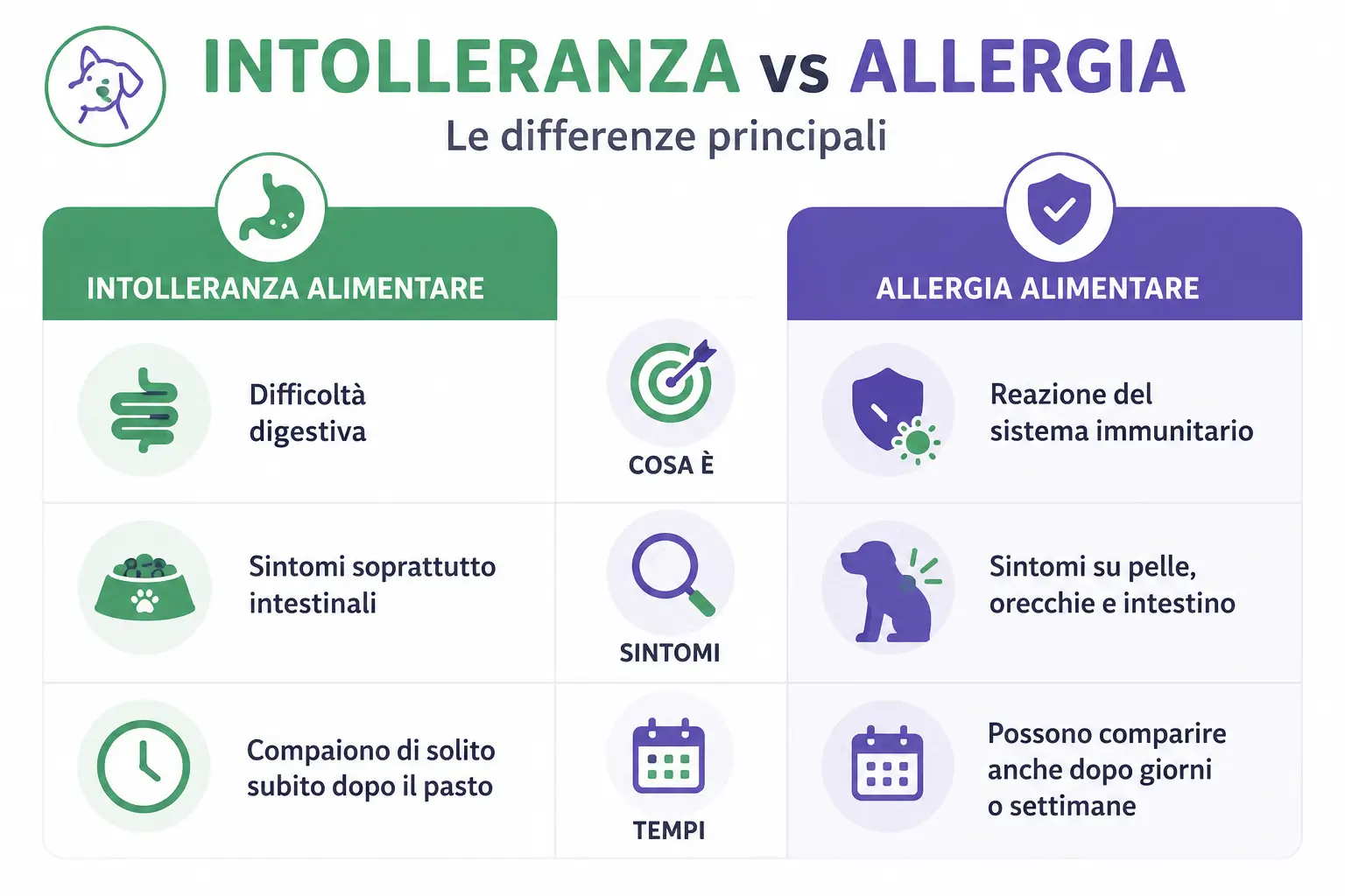 differenza allergia intolleranza alimentare cane