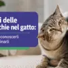 Acari delle orecchie nel gatto: come riconoscerli ed eliminarli