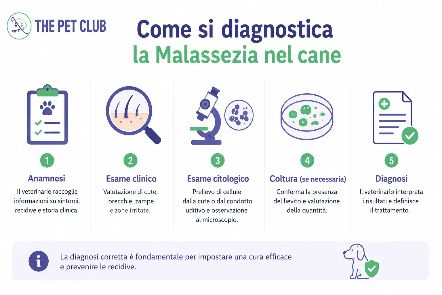 diagnosi malassezia cane