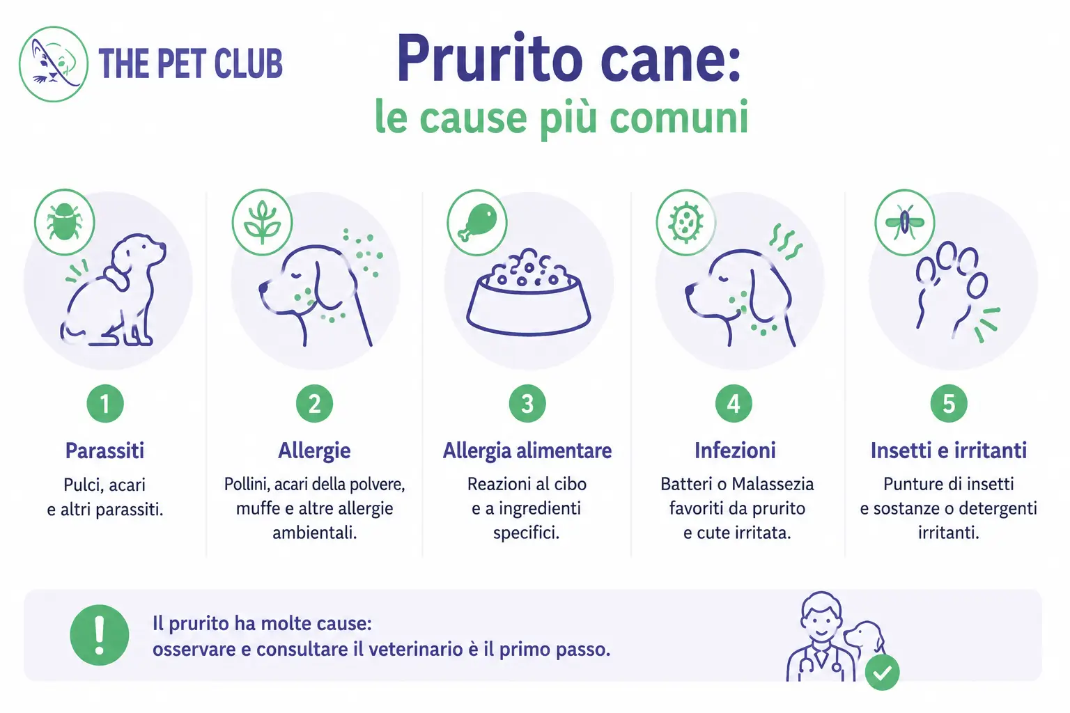 prurito cane cause comuni