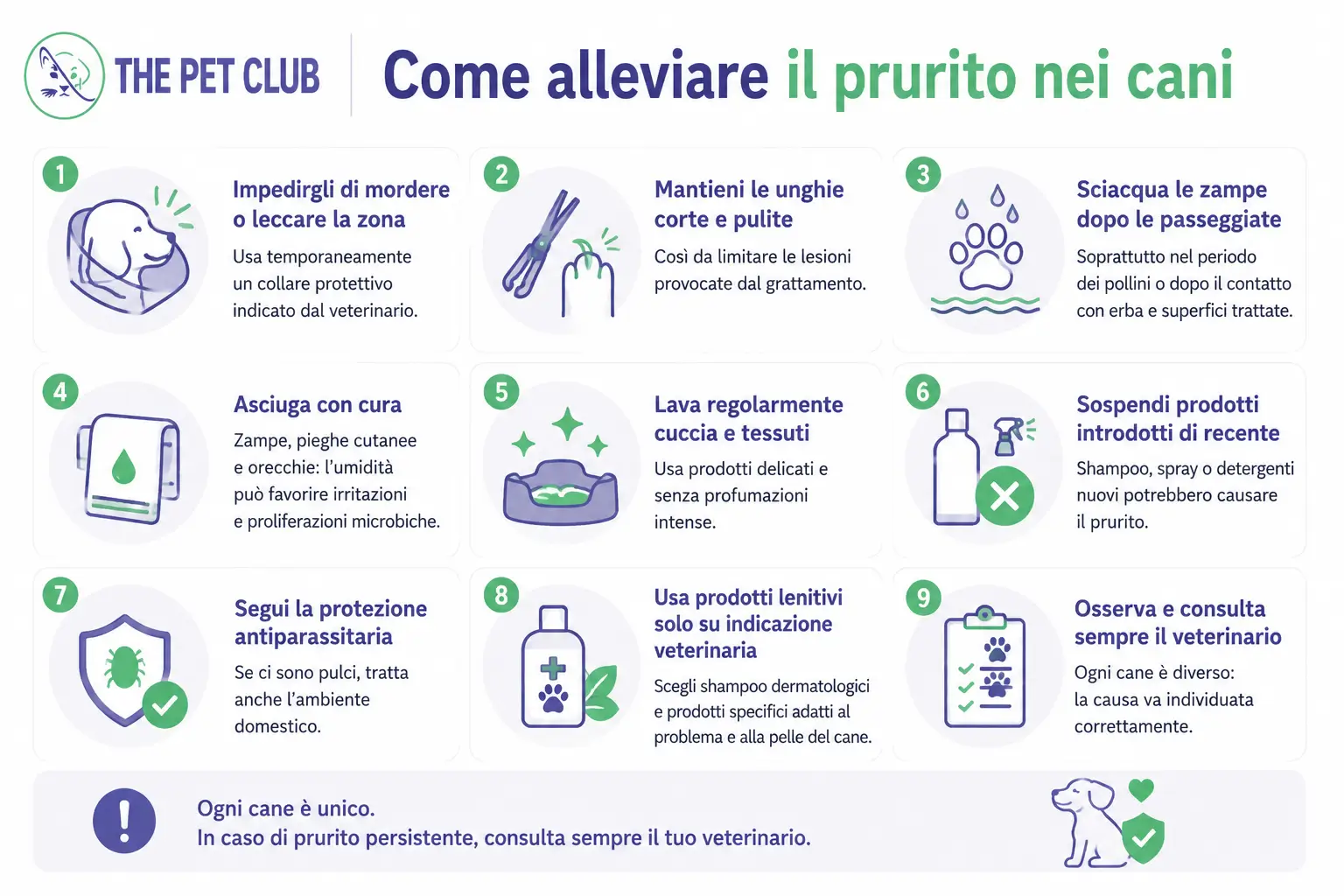 rimedi prurito cane