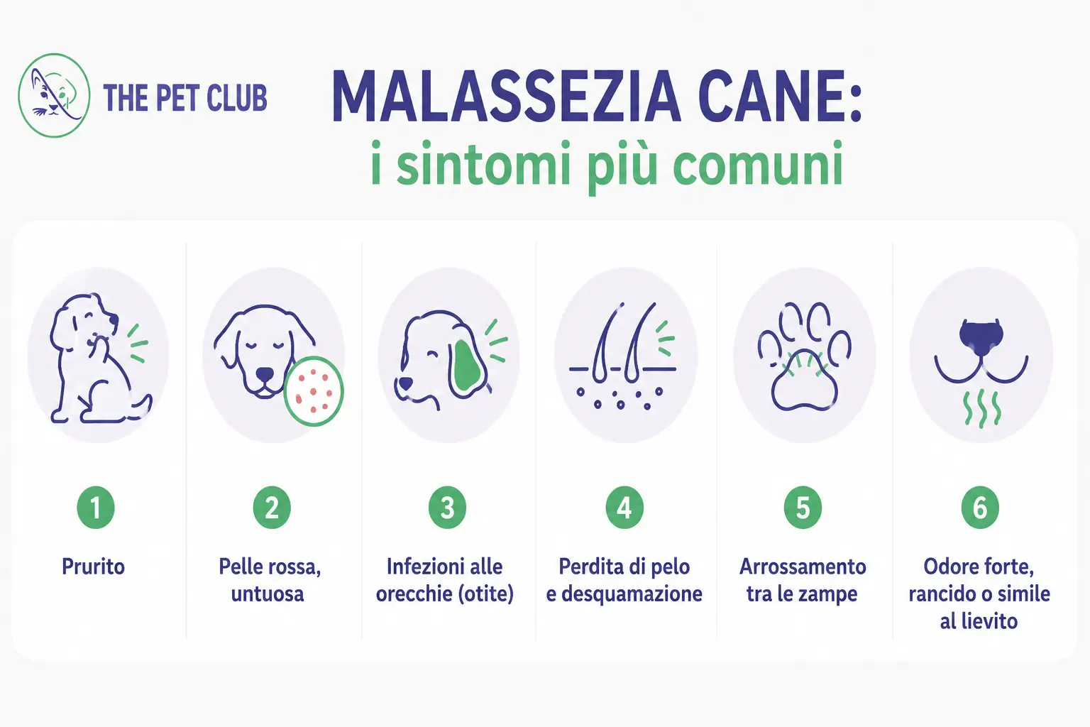 sintomi malassezia cane